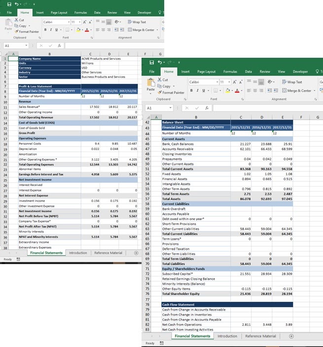 Financial Statements Report Screenshots
